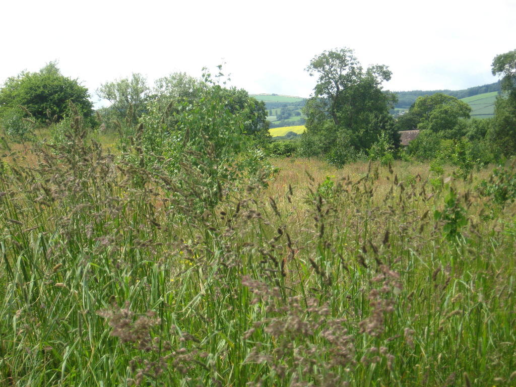 Walford Court Bed & Breakfast Leintwardine Luaran gambar